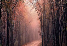 意天空:小孔塞桑&萨沃纳&鲁希参加尤文合练,本周末意甲有望复出.