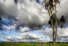 意天空：小孔塞桑&萨沃纳&鲁希参加尤文合练，本周末意甲有望复出.