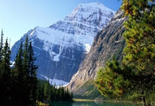 jiuyou官方网站：[CBA]内线魔术师！杨瀚森写意抛投再取两分.