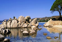 知名运动员突发!全网粉丝近7000万!_张国伟_梦想_行动.